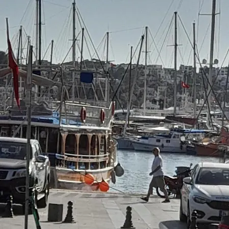 Kardelen *